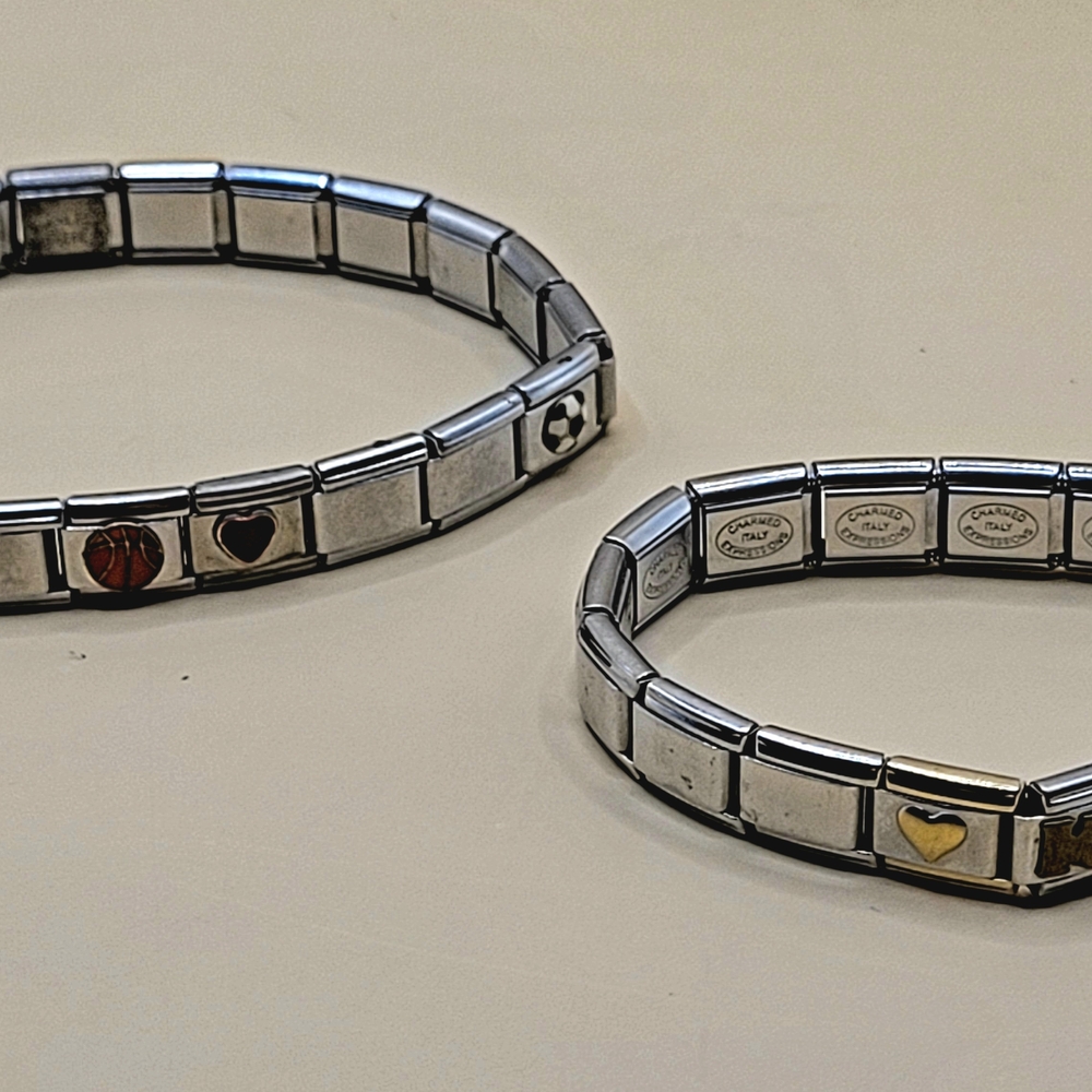 Lot 2 Italian Charm Bracelets Cool Links & Charmed Expressions Stainless Steel